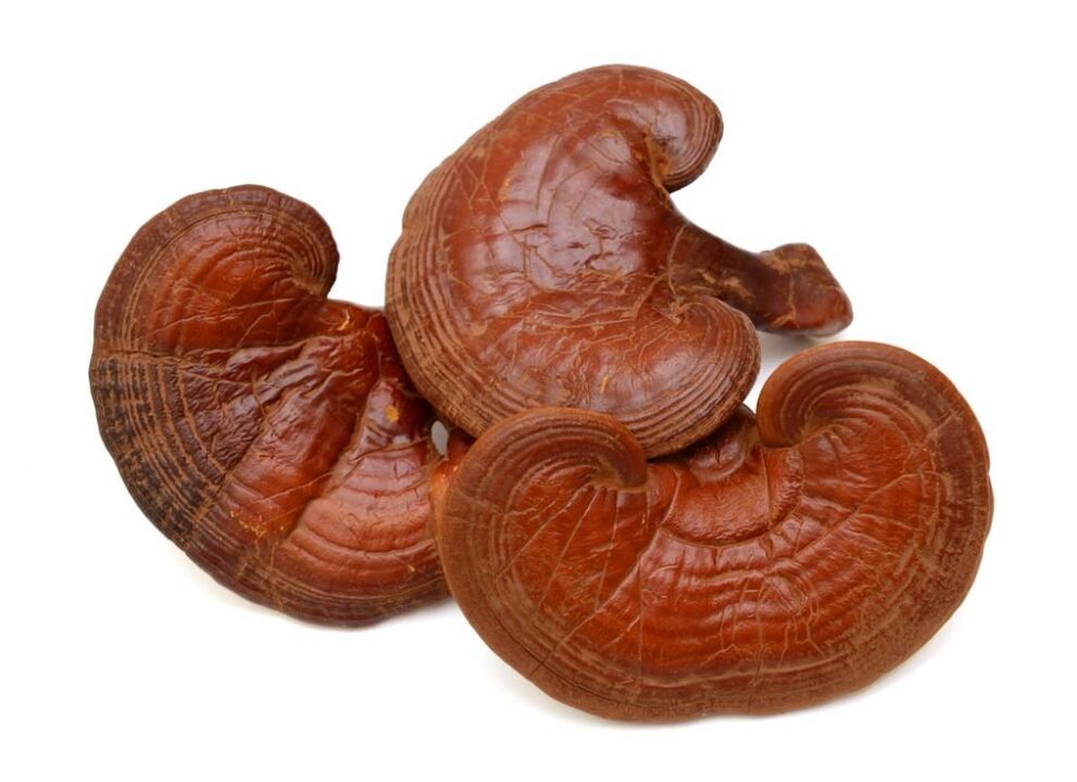 Το Predstonorm περιέχει μανιτάρια reishi